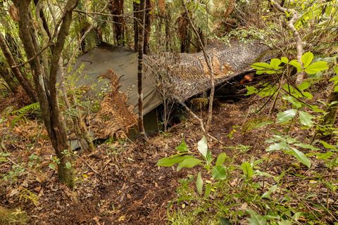Das Hauptlager wurde in einem dichten Wald auf der Nordinsel entdeckt. Foto: NZ Police/dpa