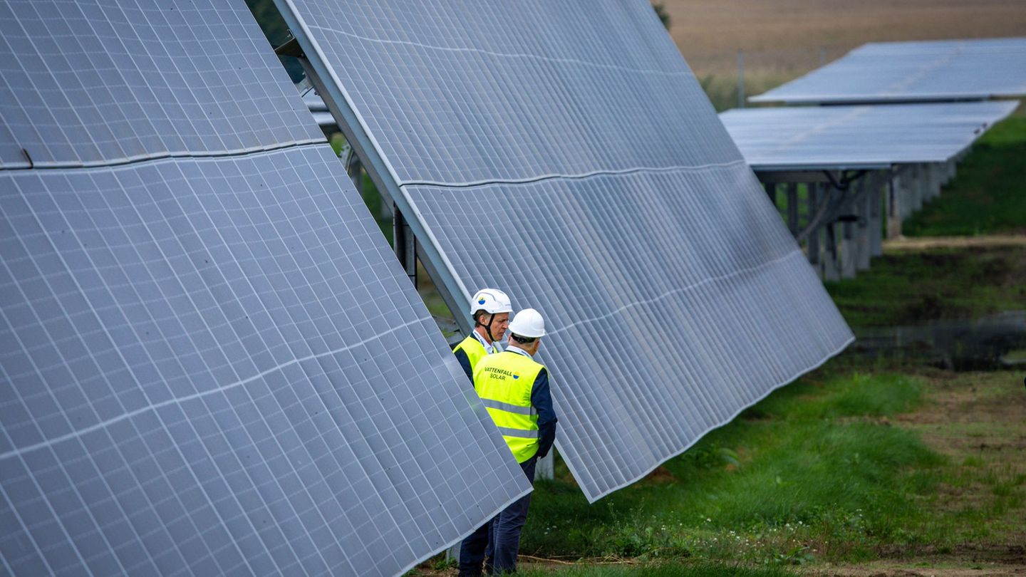 Im großen Stil soll eine Anlage in Mecklenburg-Vorpommern Stromerzeugung und Landwirtschaft verbinden. Foto: Jens Büttner/dpa