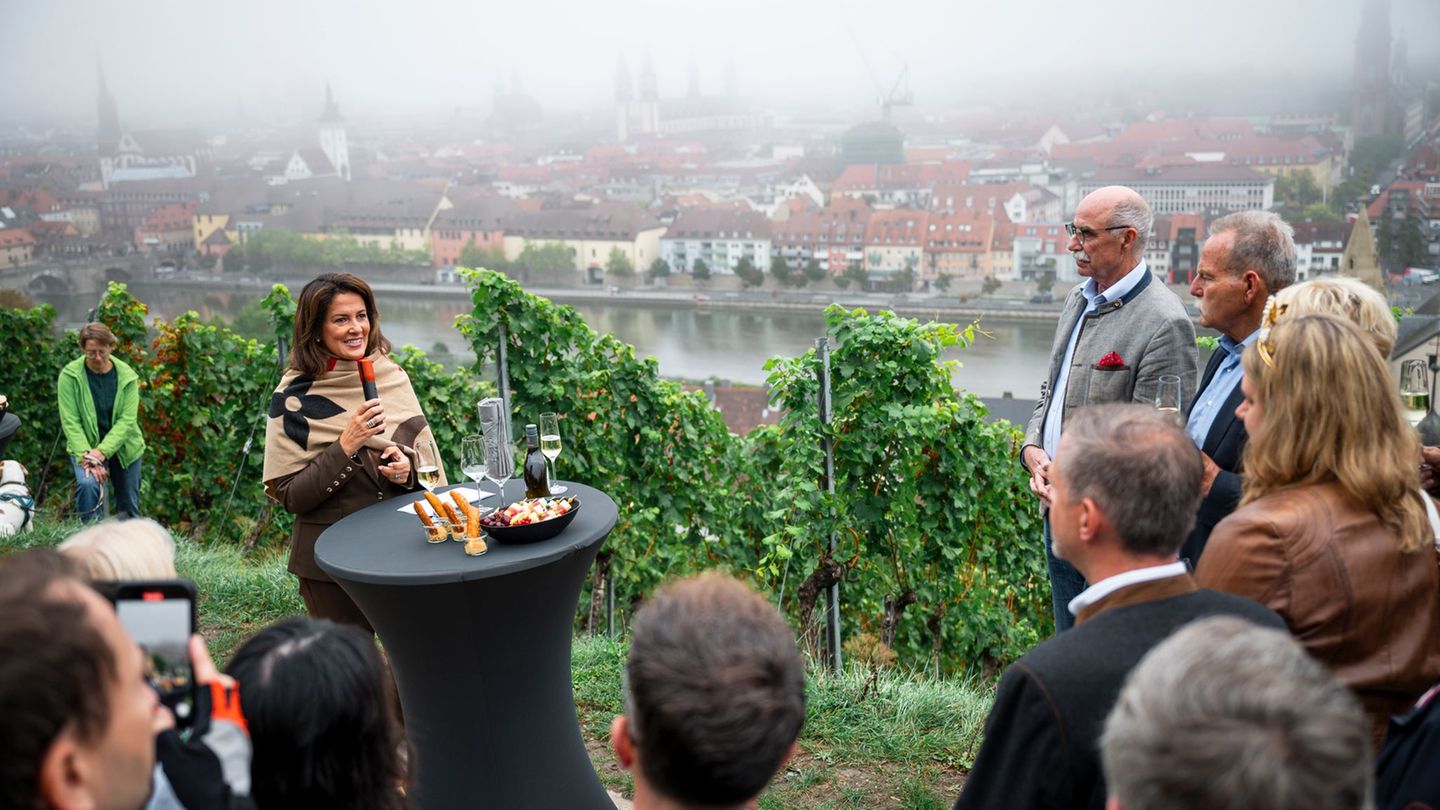 Zwischen Reben in Würzburg wurde die fränkische Weinlese offiziell eröffnet. Foto: Daniel Vogl/dpa