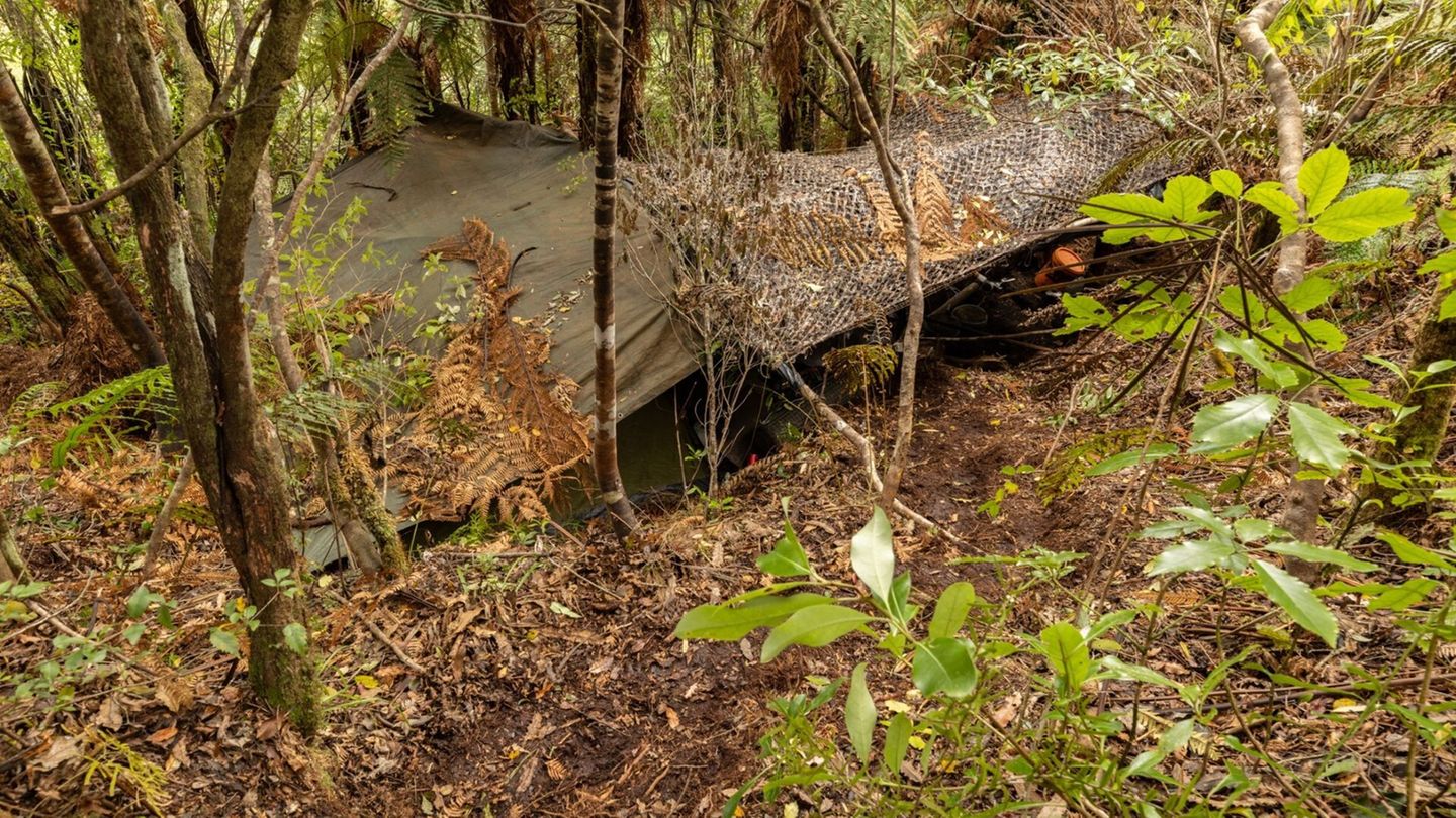 Das Hauptlager wurde in einem dichten Wald auf der Nordinsel entdeckt. Foto: NZ Police/dpa