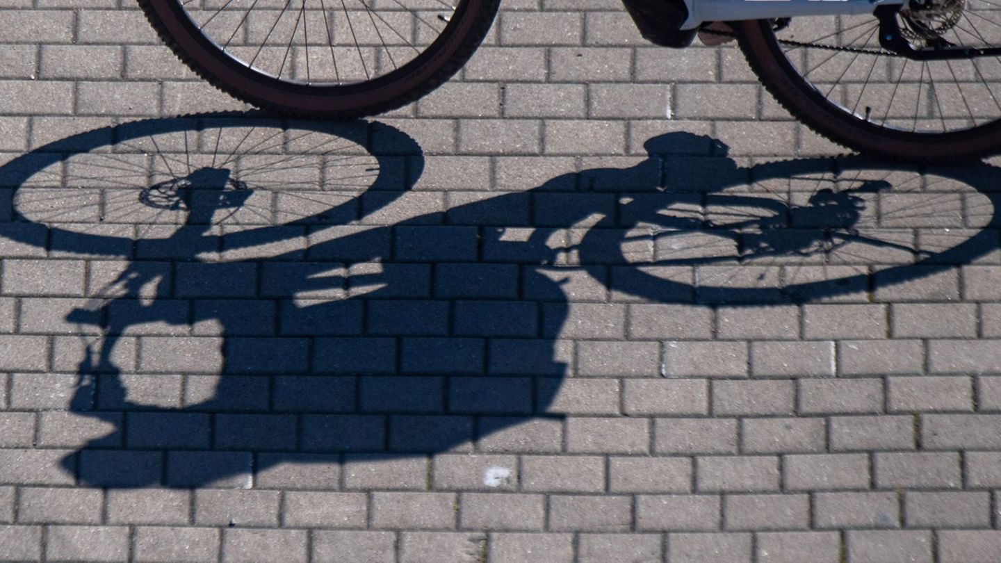 Die Polizei hofft auf Antworten durch den Zeugenaufruf. (Symbolbild) Foto: Stefan Sauer/dpa