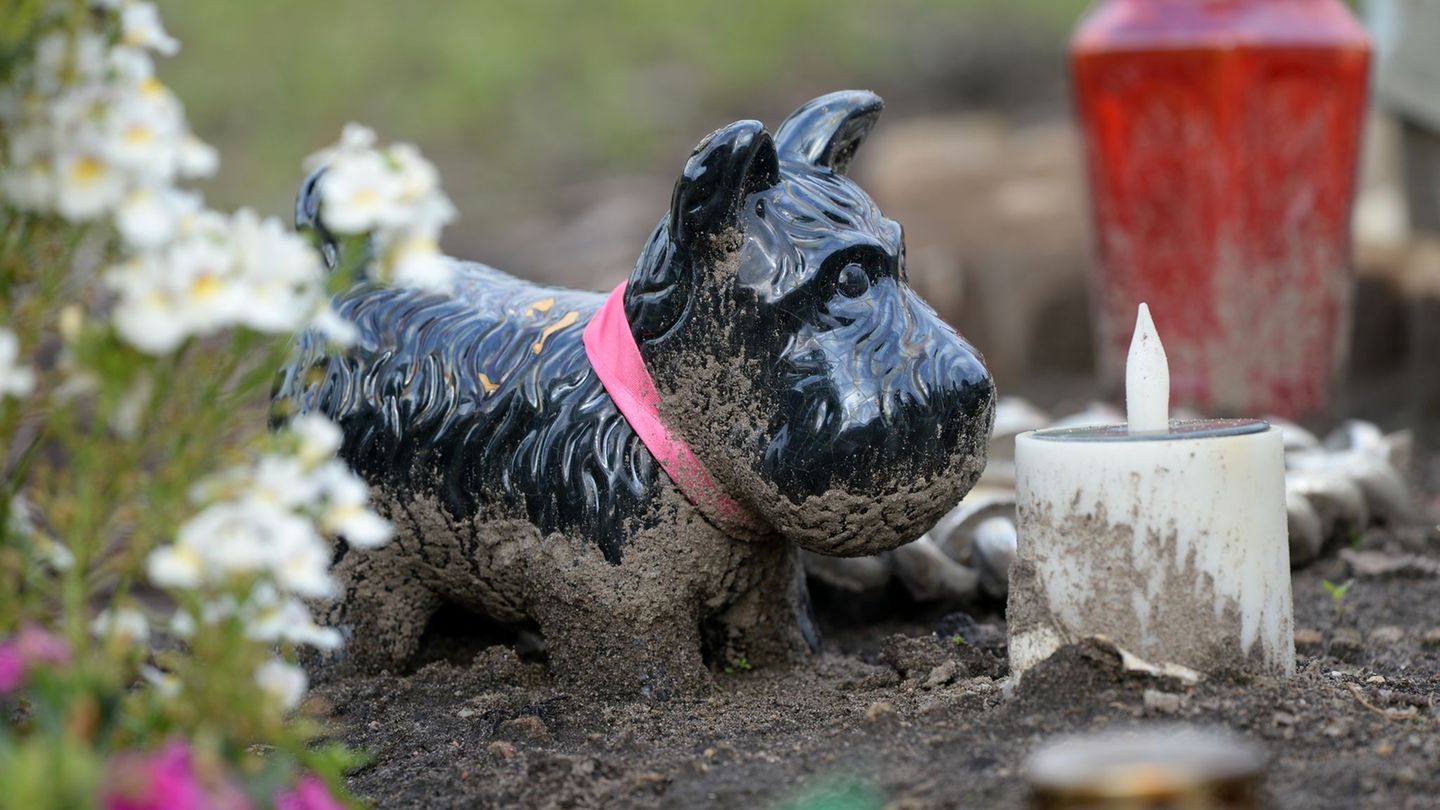 In Bremen gibt es künftig die Möglichkeit für Mensch-Haustier-Grabstätten. (Symbolbild) Foto: Ralf Hirschberger/dpa-Zentralbild/