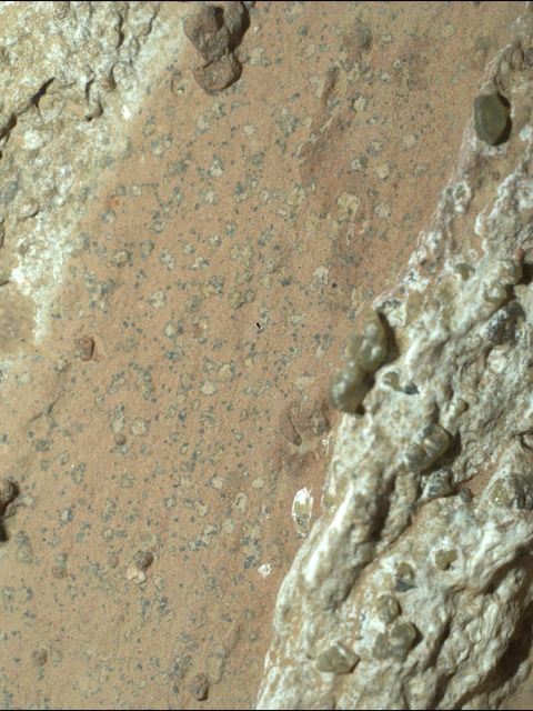 Eine vom Nasa-Rover "Perseverance" im vergangenen Jahr auf dem Mars entnommene Gesteinsprobe könnte nach Angaben der US-Raumfahr