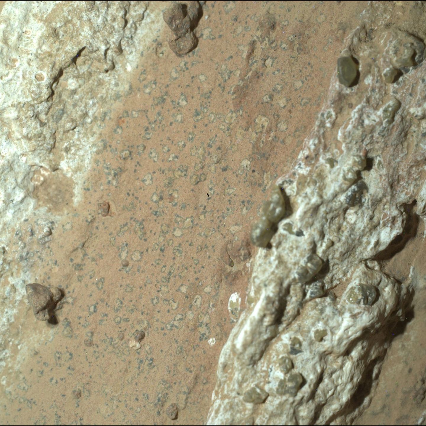 Eine vom Nasa-Rover "Perseverance" im vergangenen Jahr auf dem Mars entnommene Gesteinsprobe könnte nach Angaben der US-Raumfahr