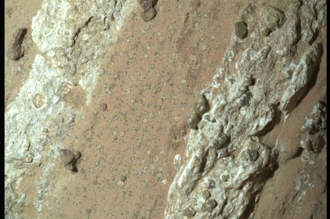 Eine vom Nasa-Rover "Perseverance" im vergangenen Jahr auf dem Mars entnommene Gesteinsprobe könnte nach Angaben der US-Raumfahr
