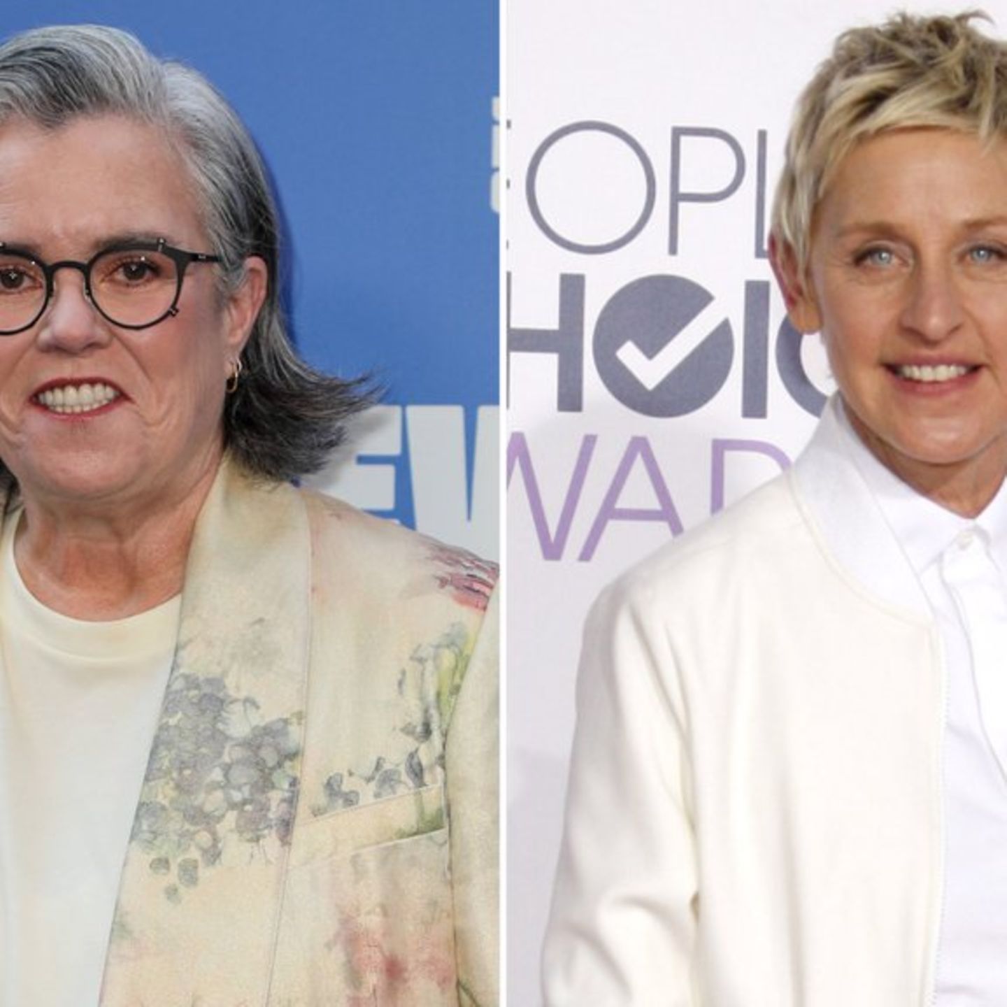 Rosie O'Donnell und Ellen DeGeneres verband eine langjährige Freundschaft.