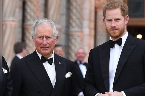 König Charles III. und Prinz Harry könnten sich endlich wieder anfreunden.