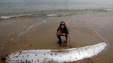 Tiefsee Riemenfisch am Strand liegend