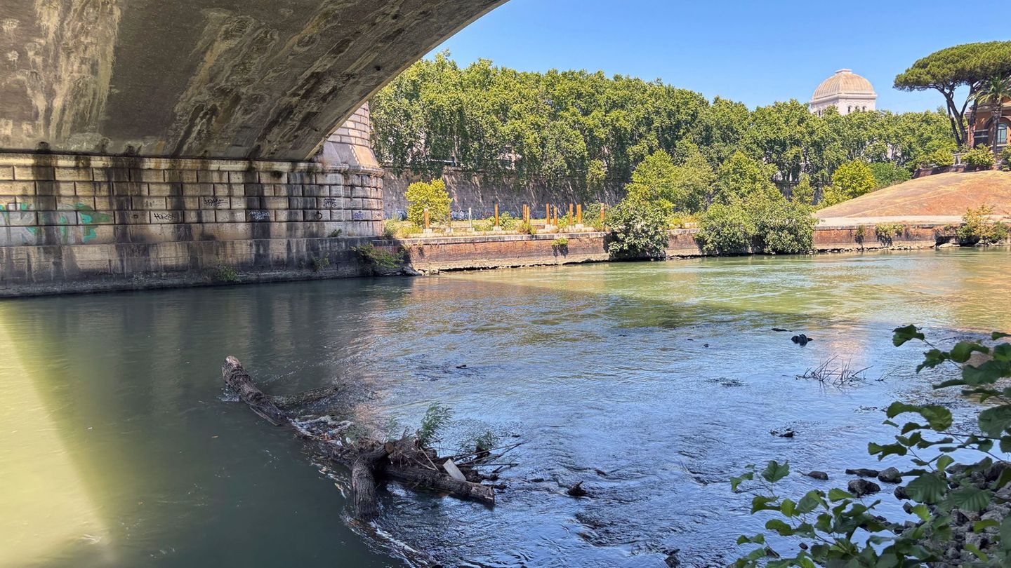 Wer will hier ins Wasser? Das Schwimmen im Tiber soll künftig wieder möglich sein. Foto: Robert Messer/dpa