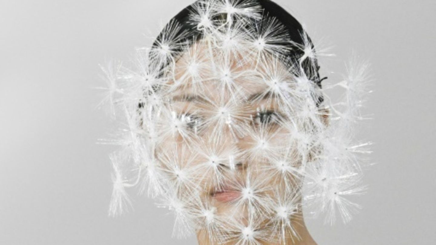 Pusteblume