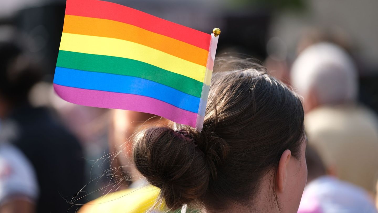 In Halle werden zum CSD und weiteren Demonstrationen am Samstag Tausende Teilnehmende erwartet. (Archivbild) Foto: Sebastian Wil