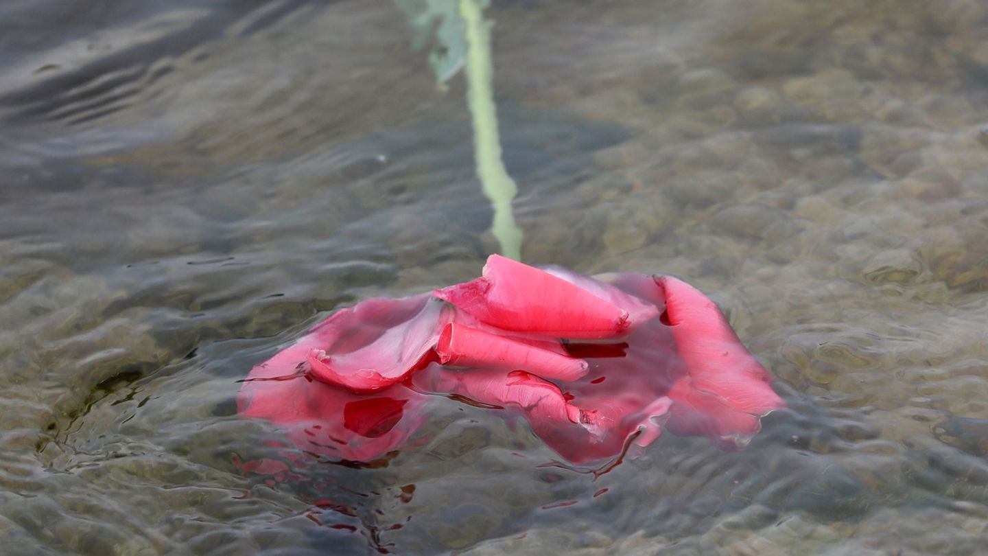 Flussbestattung ist künftig in Rheinland-Pfalz möglich. (Symbolbild) Foto: Bernd Wüstneck/dpa-Zentralbild/dpa