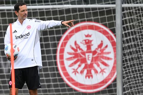 Verfolgt mit der Eintracht in dieser Saison hohe Ziele: Trainer Dino Toppmöller. Foto: Arne Dedert/dpa