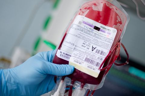 Blutspenden werden in Deutschland in Einzelbestandteile zerlegt (Archivbild). Foto: Daniel Bockwoldt/dpa