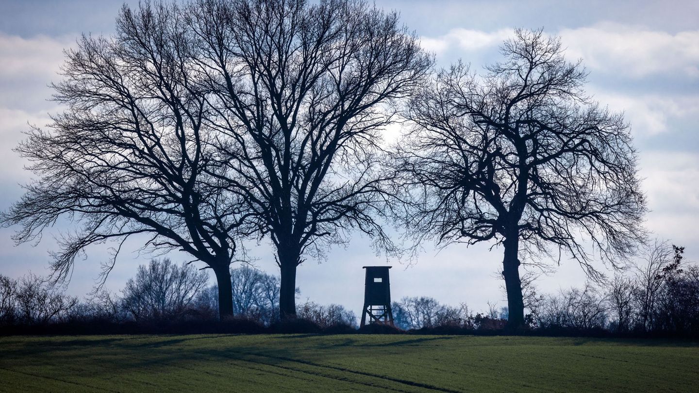 Ein mutmaßlicher Jagdwilderer war im Hunsrück unterwegs. (Symbolbild) Foto: Jens Büttner/dpa