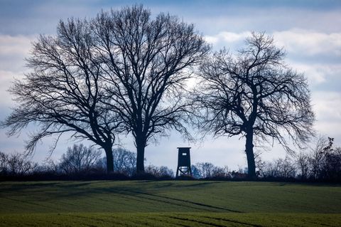 Ein mutmaßlicher Jagdwilderer war im Hunsrück unterwegs. (Symbolbild) Foto: Jens Büttner/dpa