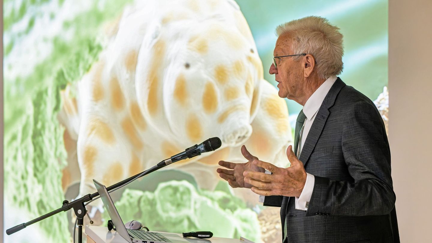 Winzig und doch bärenstark: Die neu entdeckte Bärtierchenart "Ramazzottius kretschmanni". Foto: Philipp von Ditfurth/dpa