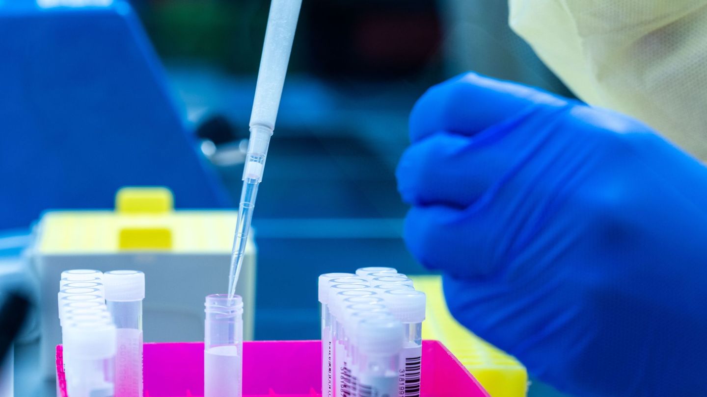 Gesundheitliche Wechselwirkungen zwischen Mensch, Tier und Umwelt wollen Forscher und Forscherinnen des Helmholtz-Instituts für