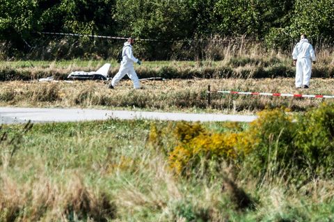 Kuscht die Nato vor Putin?
