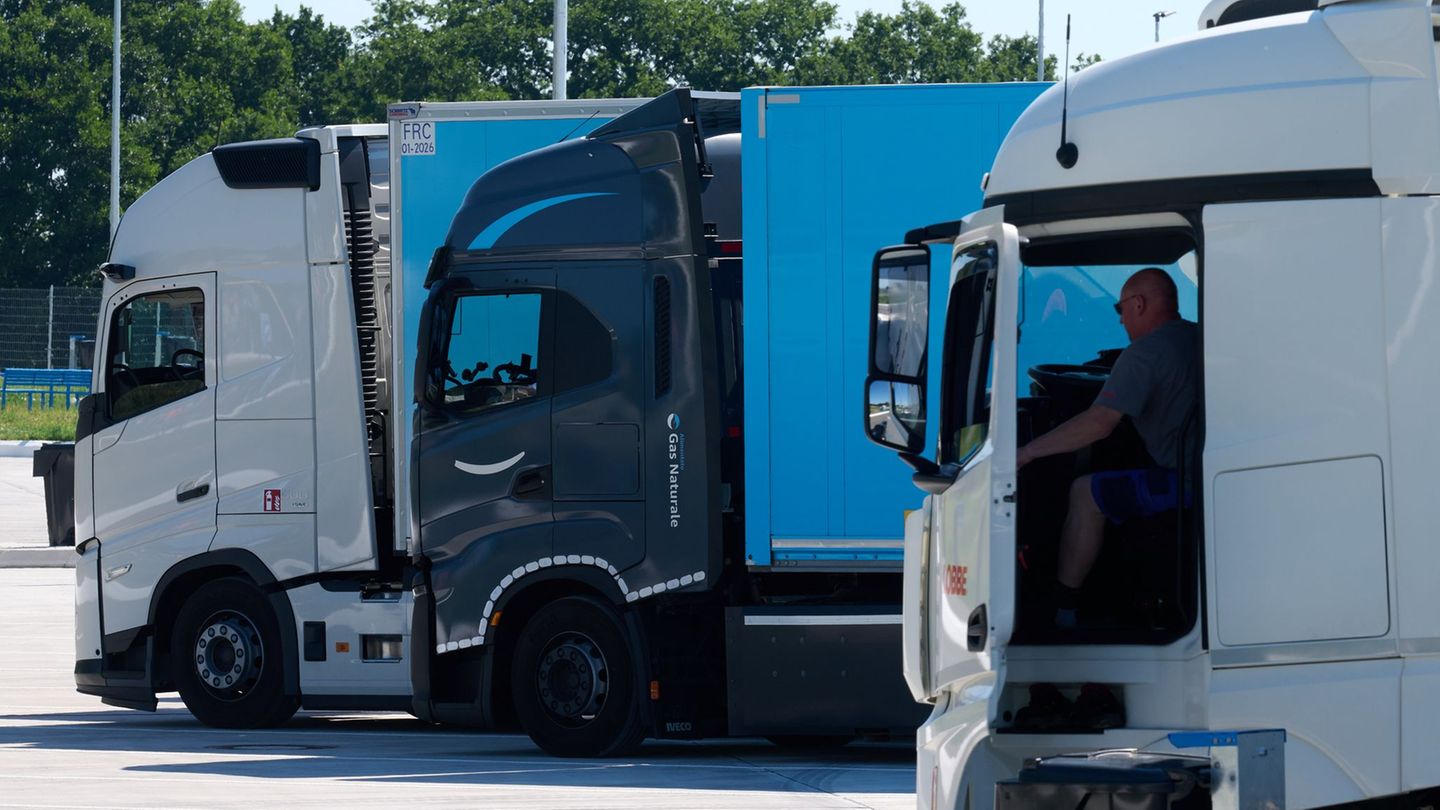 CDU und Grüne fordern bessere Arbeitsbedingungen für Lkw-Fahrer. (Archivbild) Foto: Bernd Thissen/dpa