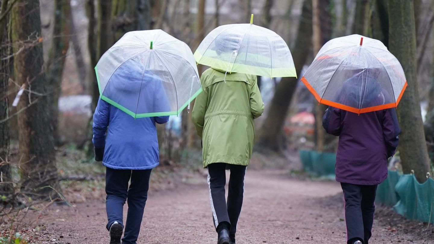 Schauer, Gewitter und viel Wind - ein unbeständiges Septemberwochenende steht bevor. (Symbolbild) Foto: Marcus Brandt/dpa
