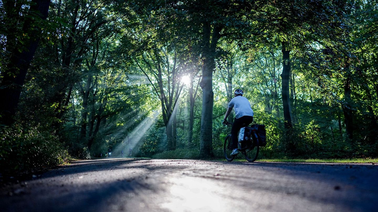 Am Wochenende zeigt sich die Sonne, aber es ziehen auch Wolken und Regen auf. (Archivbild) Foto: Kay Nietfeld/dpa