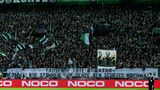 Fans von Borussia Mönchengladbach