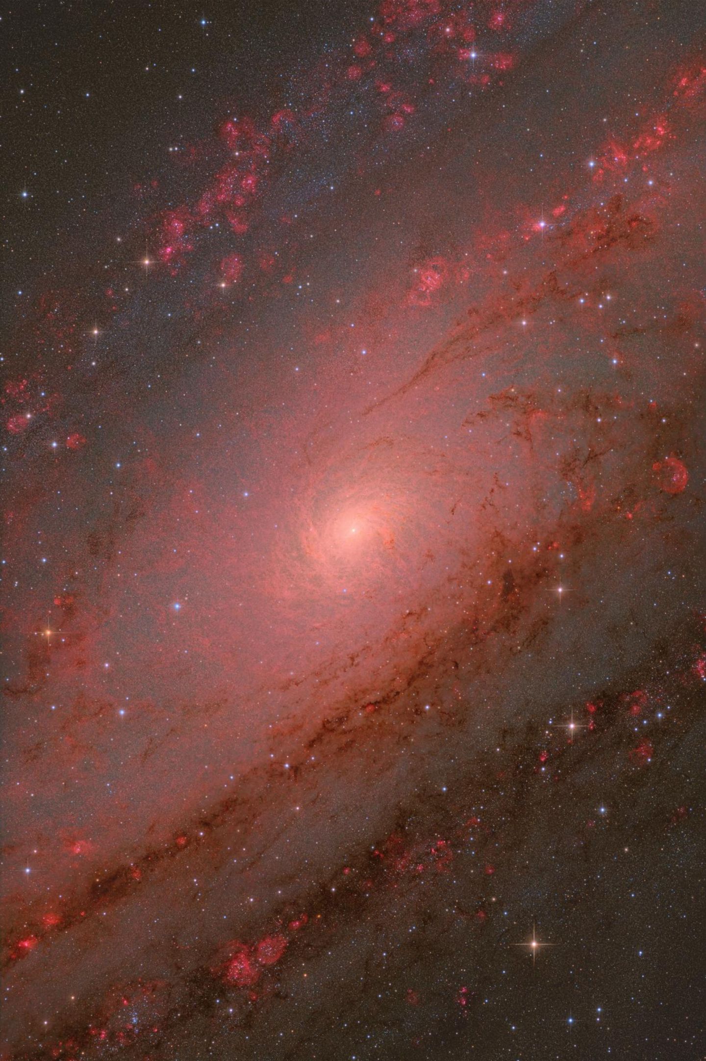 Astronomie-Fotografie