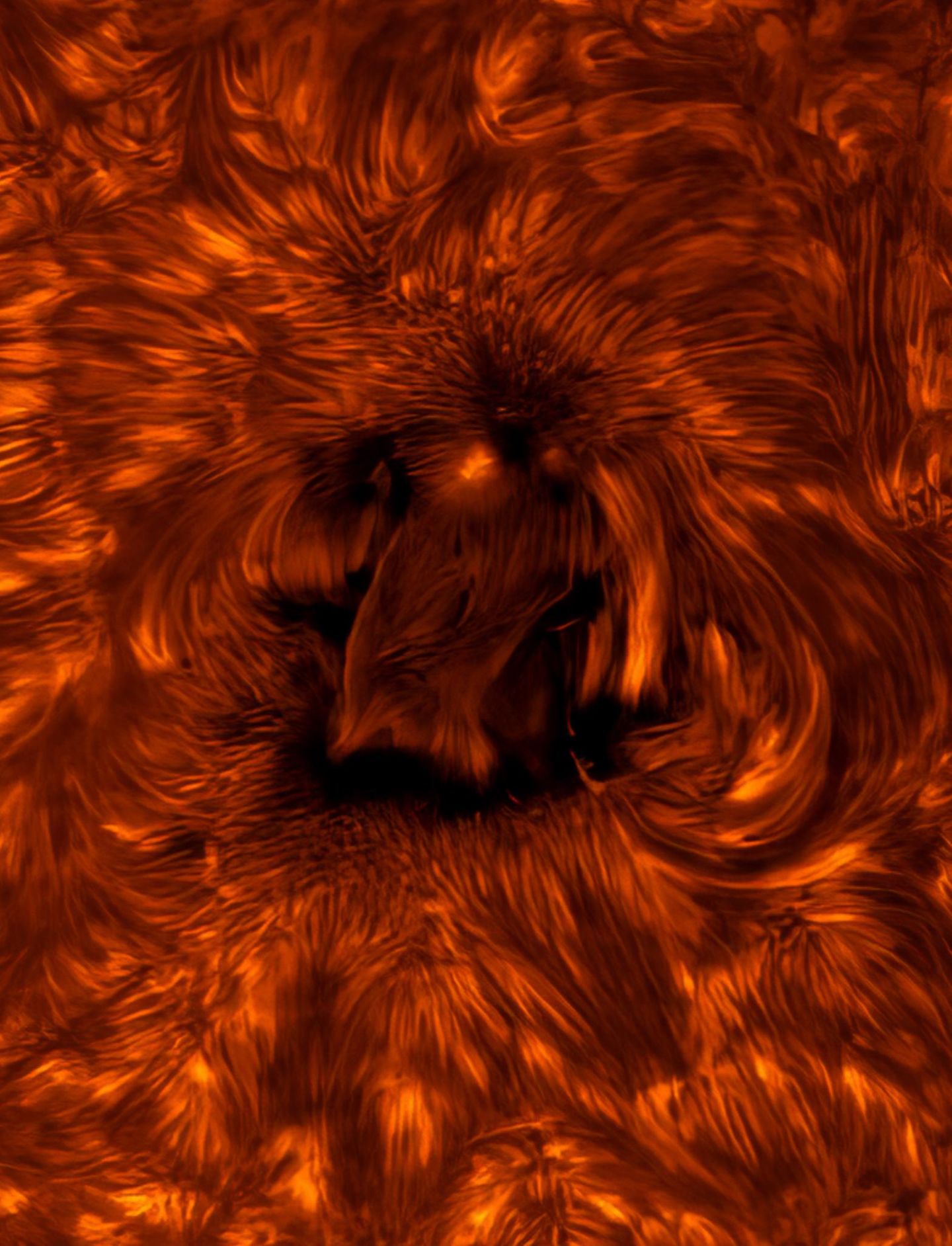 Astronomie-Fotografie: Erster Platz "Unsere Sonne" Astronomie-Fotografie