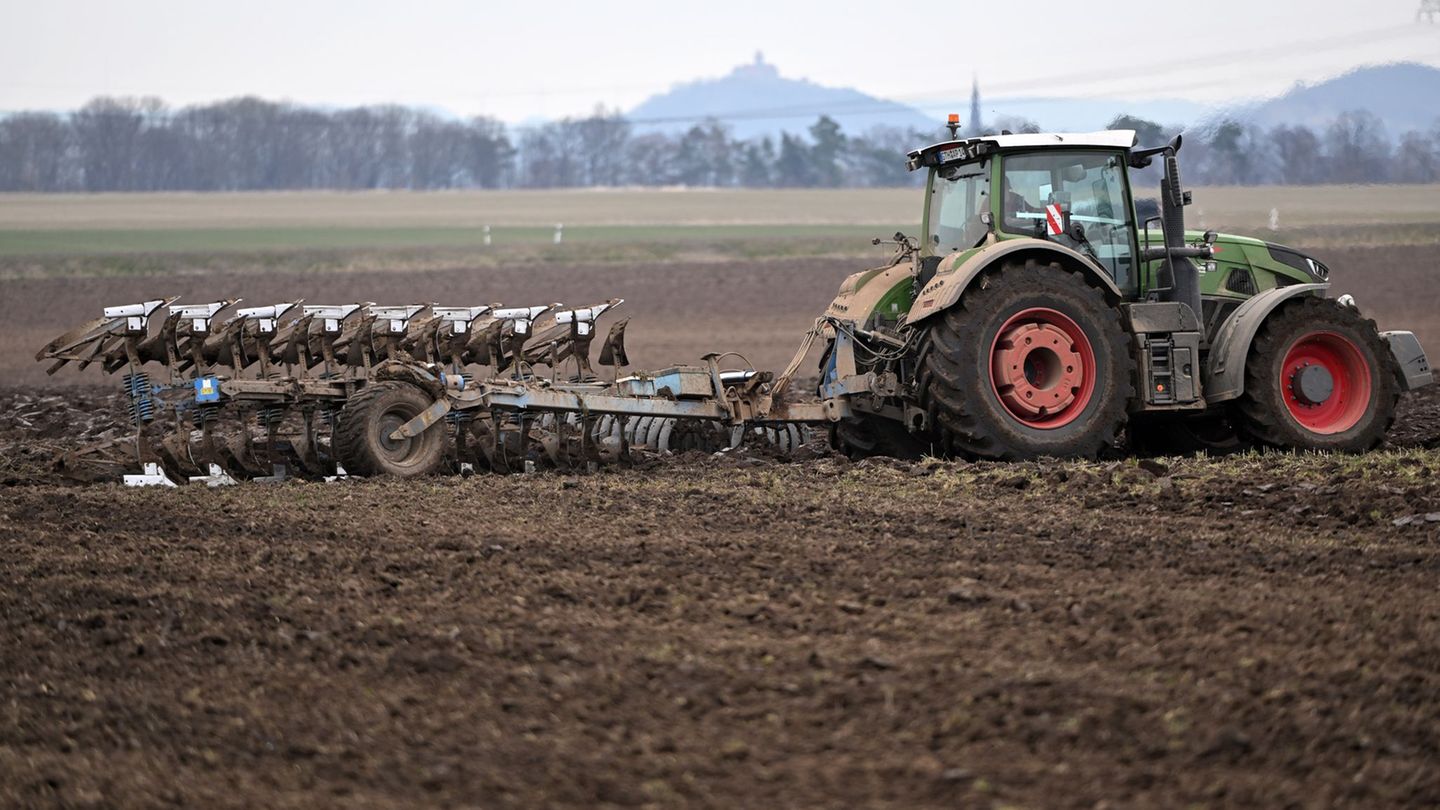 Bald weniger Geld für Thüringer Agarbetriebe? Foto: Martin Schutt/dpa-Zentralbild/dpa