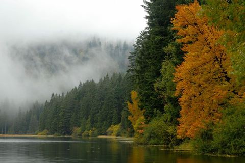 Der Bayerische Wald lockt mit unberührter Natur.