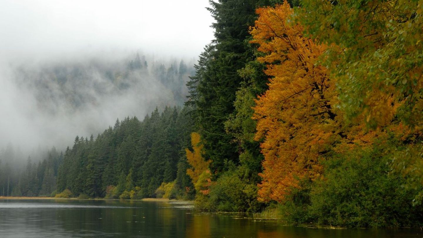 Der Bayerische Wald lockt mit unberührter Natur.