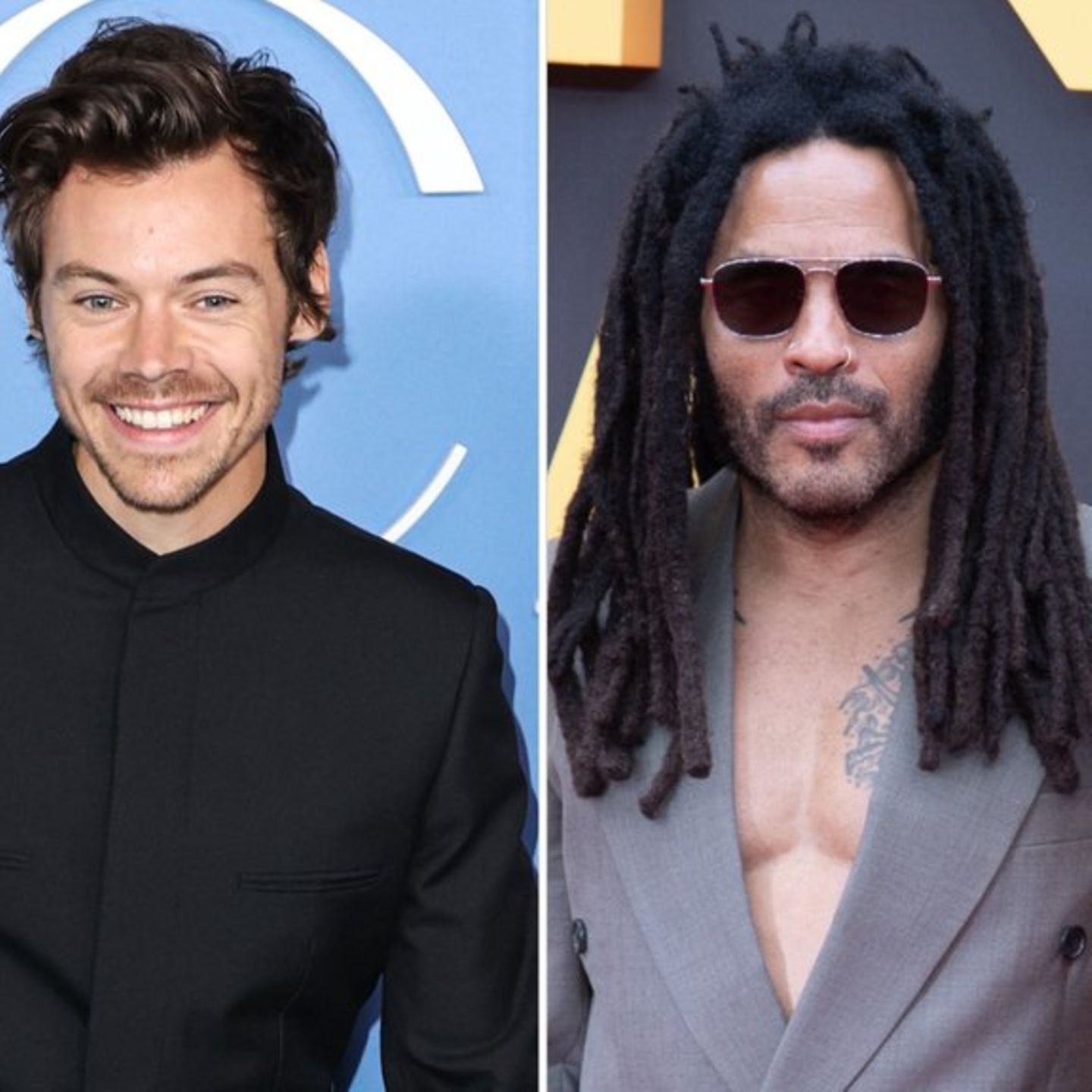 Lenny Kravitz soll der Romanze zwischen Tochter Zoë und Harry Styles seinen Segen gegeben haben.