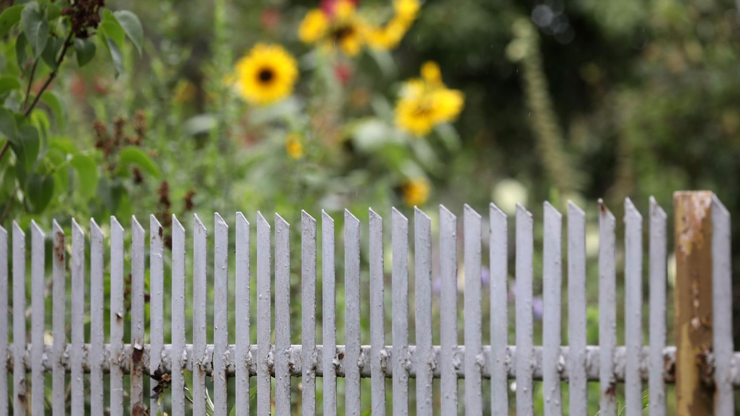 Auch ein solcher Gartenzaun kann manchmal Ort eines Nachbarschaftsstreits sein. (Symbolbild) Foto: Bernd Wüstneck/dpa-Zentralbil