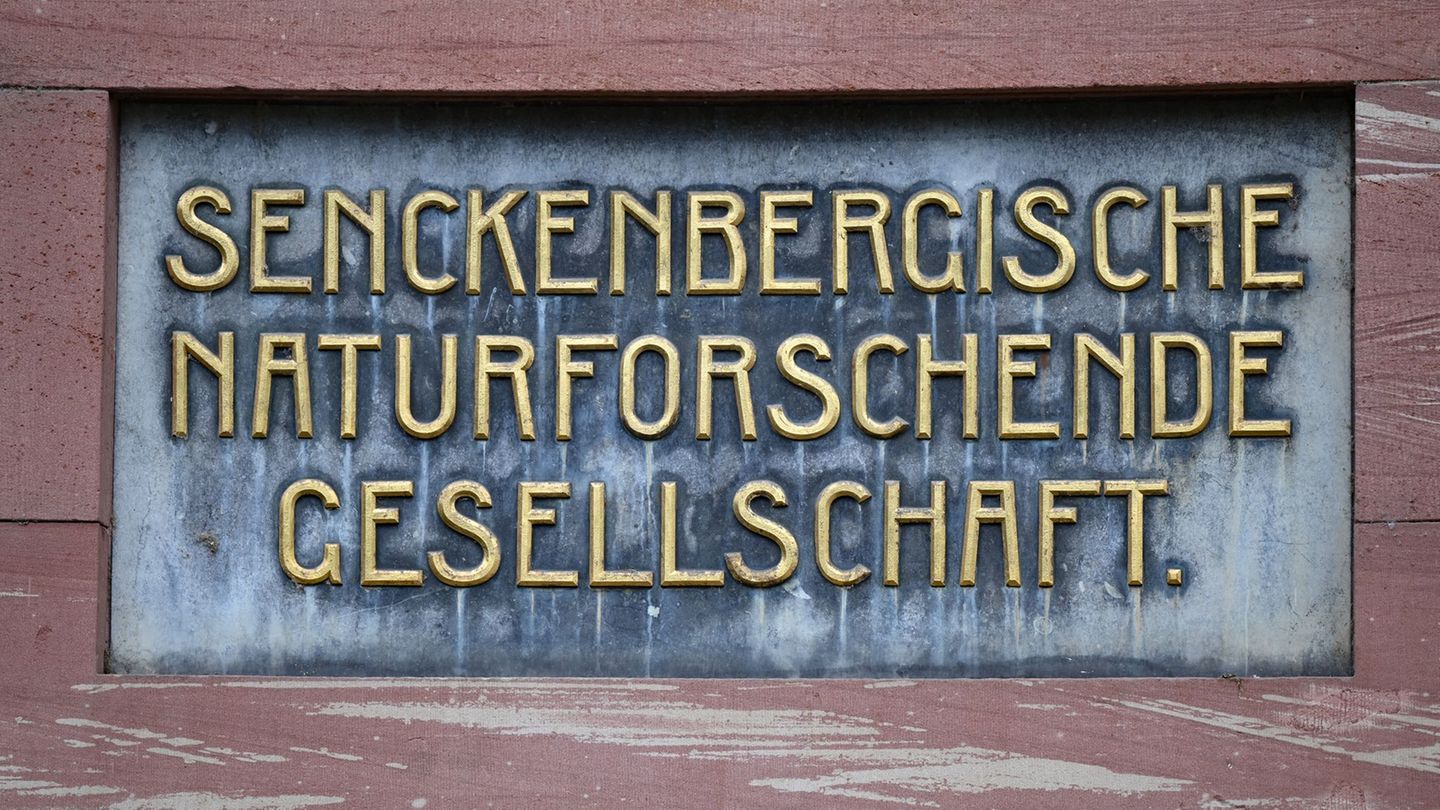 "Wir müssen Verantwortung übernehmen." (Archivbild) Foto: Arne Dedert/dpa