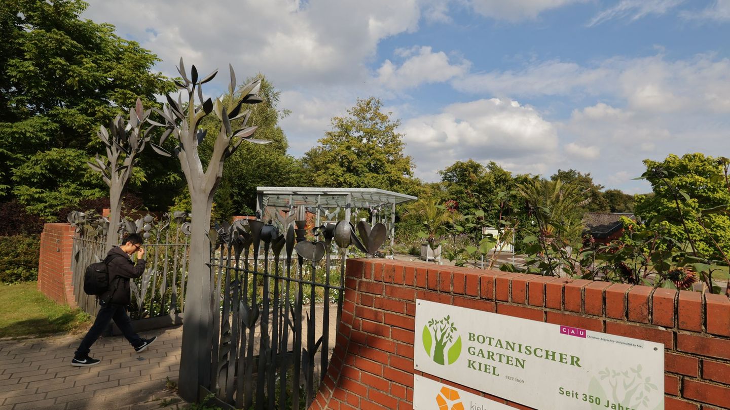 Aufgrund seiner Größe können die Mitarbeiter in Kiel nicht immer den gesamten Botanischen Garten überwachen. (Archivbild) Foto: