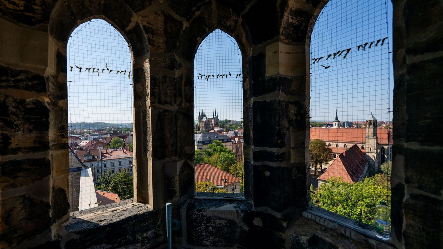 Erfurts Beiname im Mittelalter war "Erfordia turrita", also in etwa "türmereiches Erfurt". Bei einer besonderen Aktion können vi