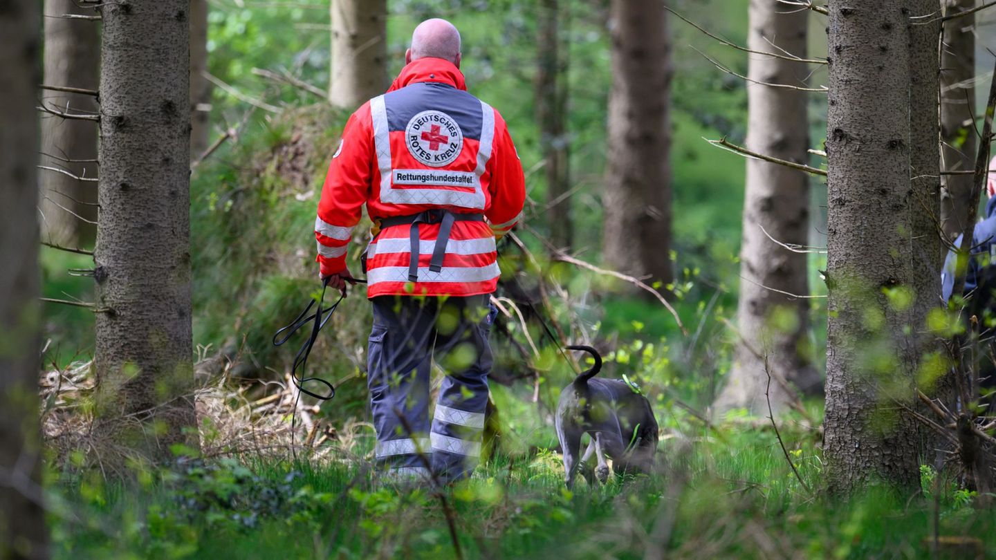 Auch mit Suchhunden suchten die Einsatzkräfte nach dem Vermissten. (Symbolbild) Foto: Daniel Reinhardt/dpa