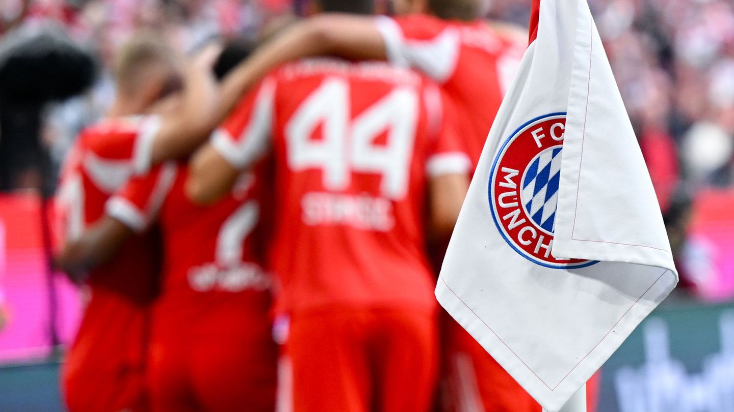 Beim Spiel zwischen dem FC Bayern und dem Hamburger SV gab es in der zweiten Hälfte zwei Notfälle unter Fans. Foto: Sven Hoppe/d