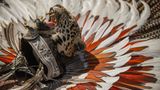 Ein indigener Kopfschmuck, darauf ein abgetrennter Jaguarkopf