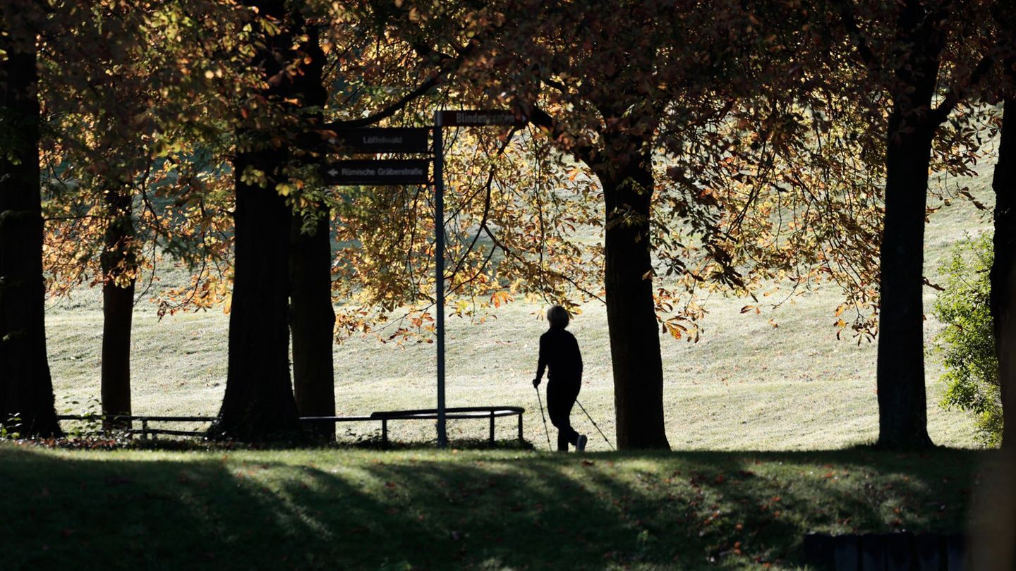 In den nächsten Tagen sind immer wieder Schauer zu erwarten. Foto: Thomas Banneyer/dpa