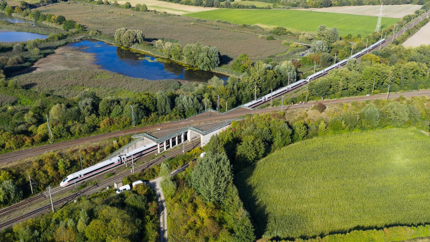 Auf der Bahnstrecke zwischen Hannover und Berlin kommt es zu Verspätungen und Zugausfällen. Foto: Julian Stratenschulte/dpa