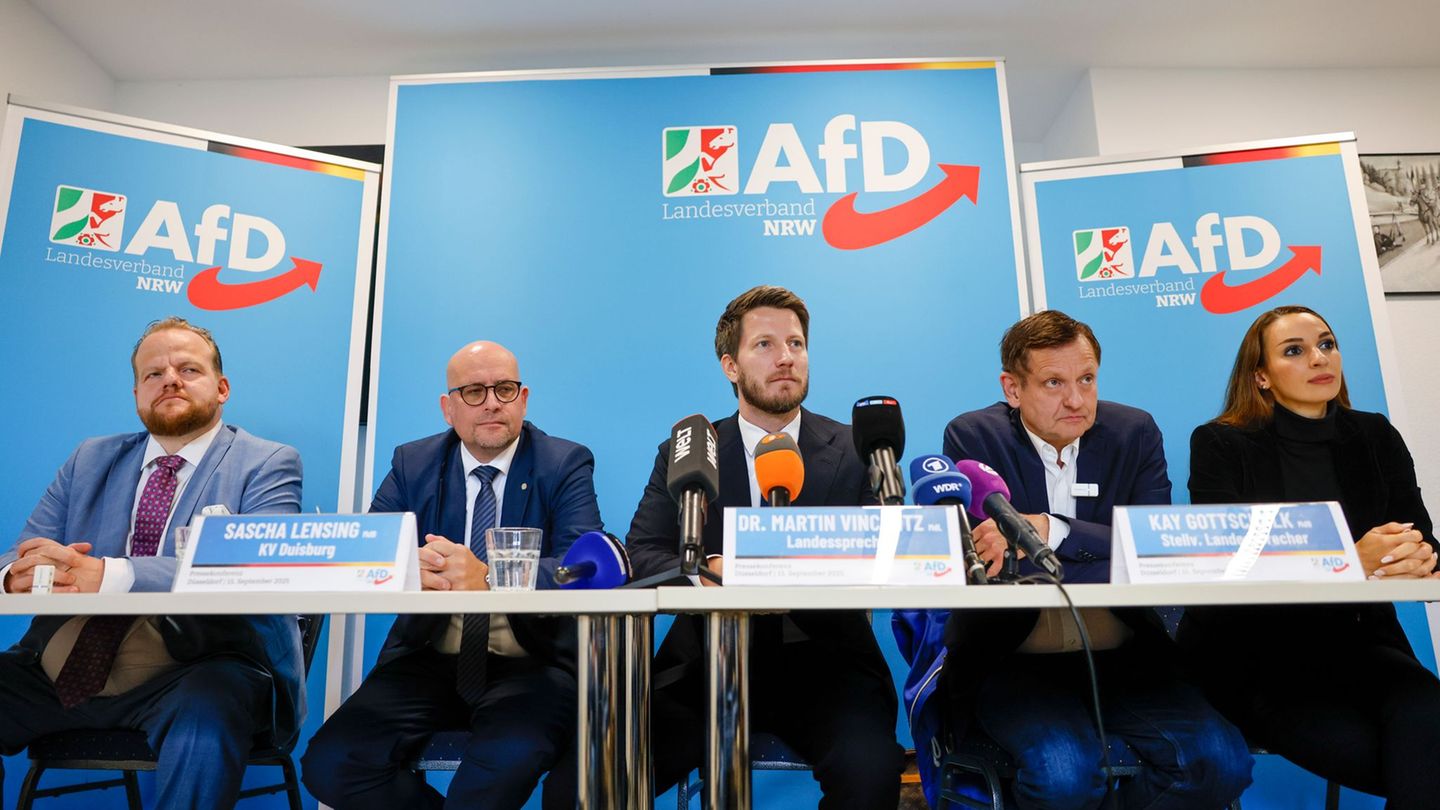 Die AfD verfügt laut einem Politikwissenschaftler über wenig kommunalpolitische Kompetenz Foto: Thomas Banneyer/dpa