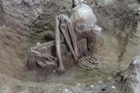 Dieser Fund soll älter als 9.000 Jahre sein. Foto: Yousuke Kaifu;Hirofumi Matsumura/dpa