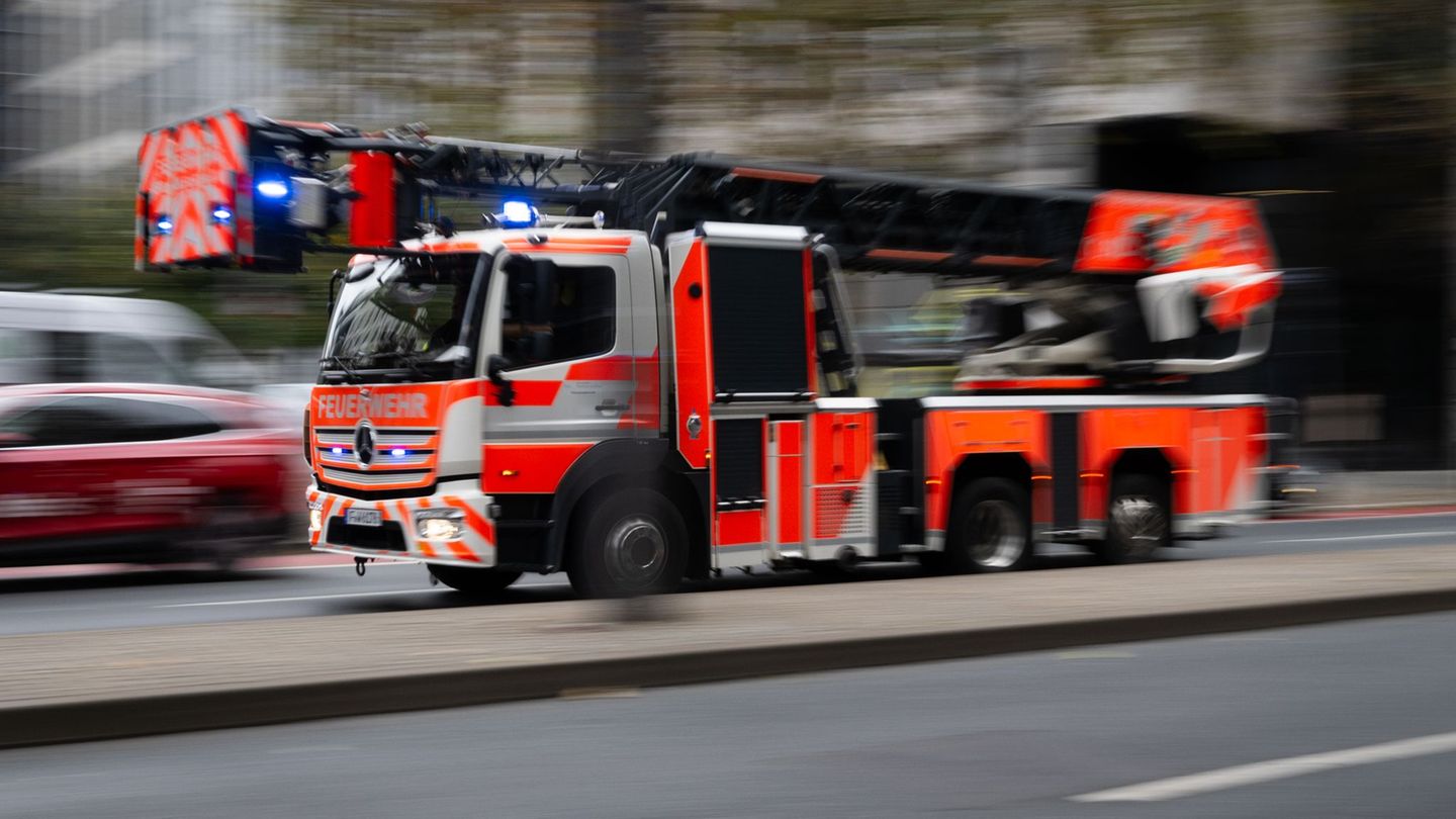 Auch eine Drehleiter war im Einsatz. (Symbolbild) Foto: Boris Roessler/dpa