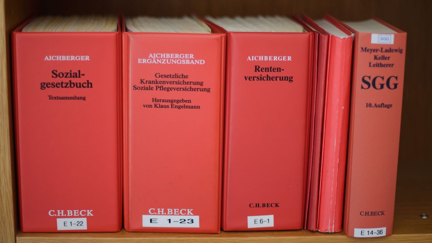 Die Sozialgesetze müssten aus Sicht einer Expertin vereinfacht werden. (Symbolbild) Foto: picture alliance / dpa