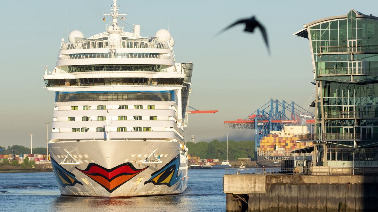 Das Kreuzfahrtschiff "AIDAsol" kann Landstrom beziehen. (Archivbild) Foto: Bodo Marks/dpa