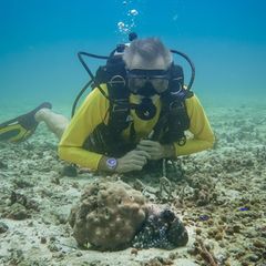 Hannes Jaenicke beim Tauchen in Indonesien mit einer Großen Blauen Krake (Day Octopus) im Vordergrund. Foto: Markus Strobel/Tang