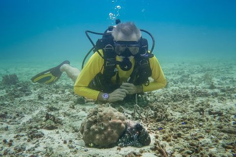 Hannes Jaenicke beim Tauchen in Indonesien mit einer Großen Blauen Krake (Day Octopus) im Vordergrund. Foto: Markus Strobel/Tang