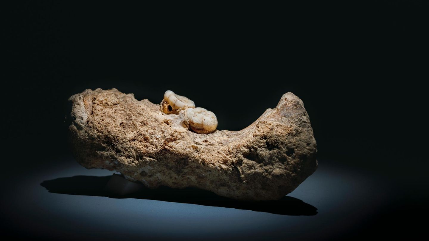 Pal-ontologie-Steinzeit-Cousin-Auf-der-Suche-nach-dem-mysteri-sen-Denisova-Menschen